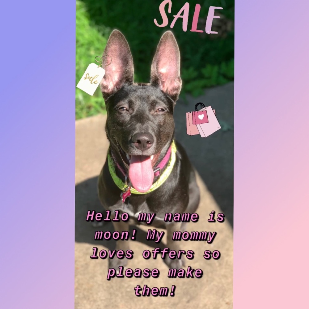 Moon wants you to make me an offer!